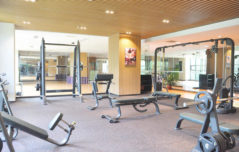 酒店健身房器材,高端健身房器材,室内健身器材-广西熊猫体育体育健身器材有限公司