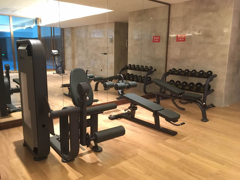 酒店健身房器材,室内健身器材,高端商用健身器材-广西熊猫体育体育健身器材有限公司