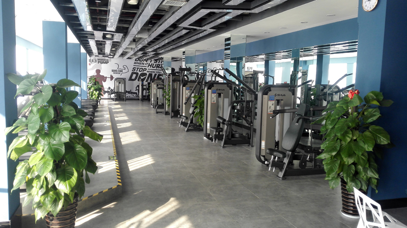 酒店健身房器材,高端健身房器材,室内健身器材-广西熊猫体育体育健身器材有限公司