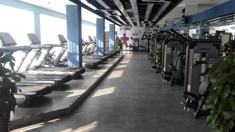 酒店健身房器材,高端健身房器材,室内健身器材-广西熊猫体育体育健身器材有限公司