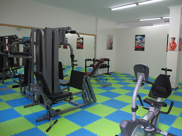 室内健身器材,单位健身器材,健身器材十大品牌-广西熊猫体育体育健身器材有限公司