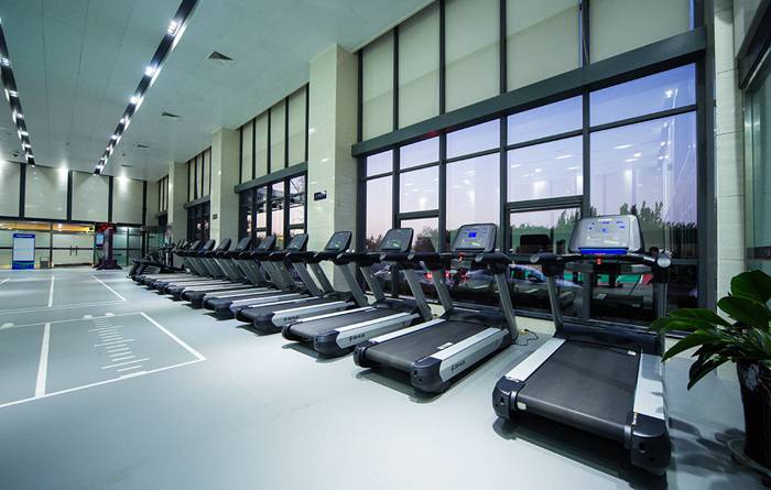 室内健身器材-熊猫体育V9跑步机