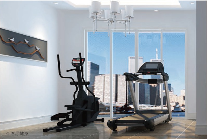 家庭健身房器材-熊猫体育健身器材