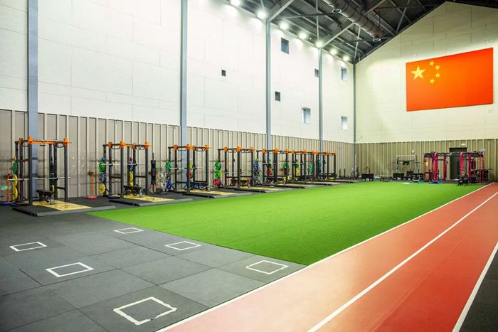 体能训练解决方案-广西熊猫体育体育